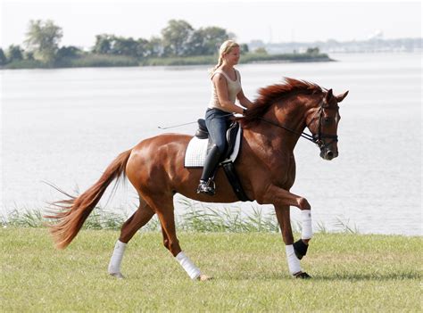Horse Riding Computer Wallpapers, Desktop Backgrounds | 2857x2119 | ID