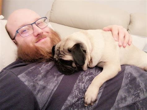 Sleepy pup loves a cuddle : r/beardsgonecuddly