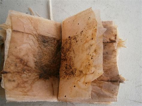 1000+ images about Tea bag art on Pinterest | Bags, In the light and ...