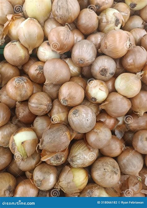 Types of Onion Vegetables in Supermarkets Stock Photo - Image of spices
