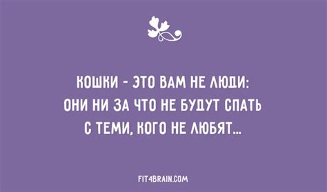 20 открыток от мастеров сарказма