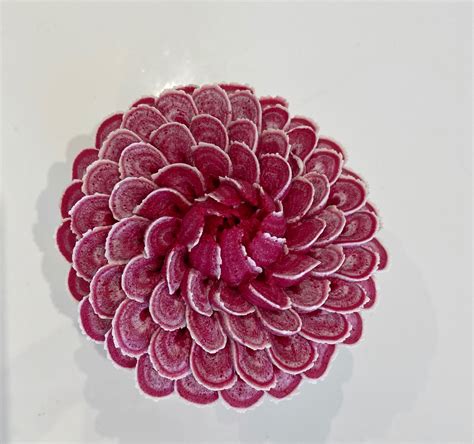 Taylor Made Decorative Dahlia | Online Video | Buttercream Tutorial