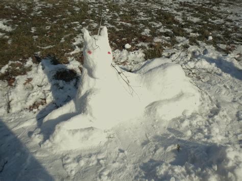 Snow Unicorn — Weasyl