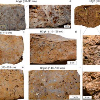 Photos of the soil profiles with designation of horizons. Soil profile ... 