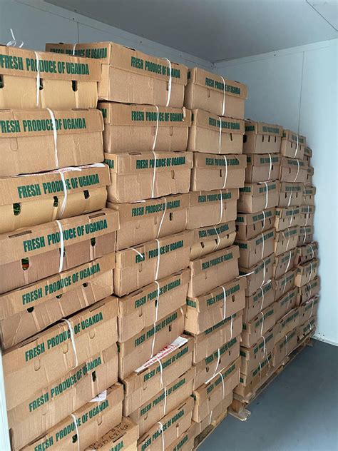 NEW-BOX – Welcome To Impact Import and Export Ltd
