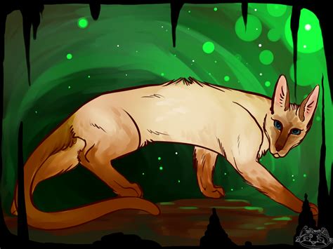 My Warrior Cat And Siamese Cat In Warrior Cats And Siamese cat in ...