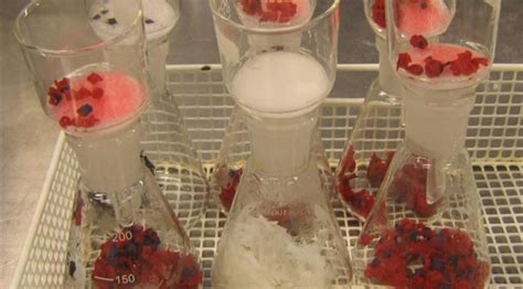 Clothing and textile - Chemicals in Textiles - Danish Technological ...