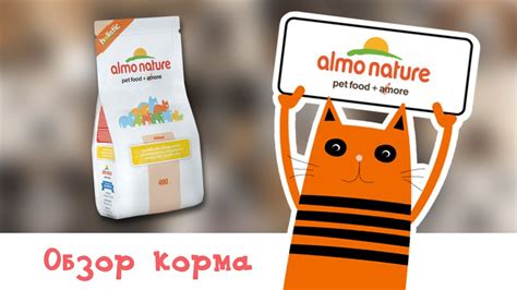 Обзор корма Almo Nature Holistic Adult Cat Turkey - YouTube