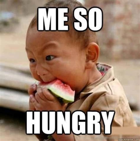 hungry memes youll find  familiar sayingimagescom