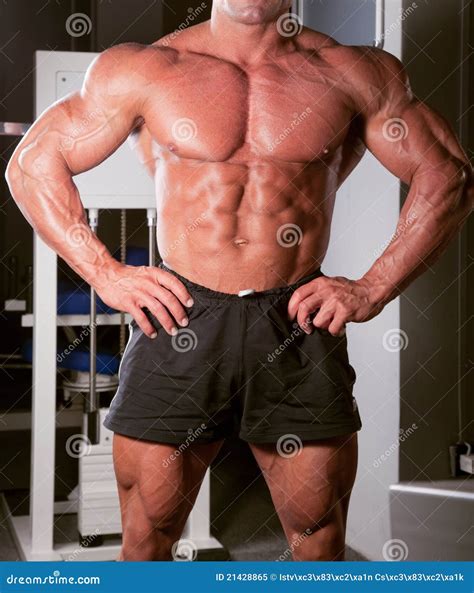 Bodybuilder posing stock image. Image of builder, beauty - 21428865