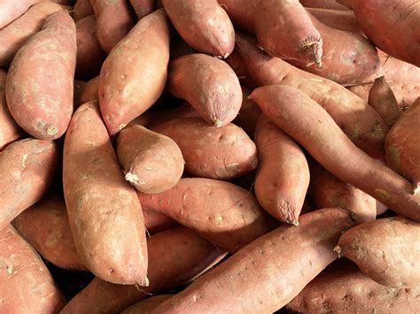 body   eat sweet potatoes  day parade