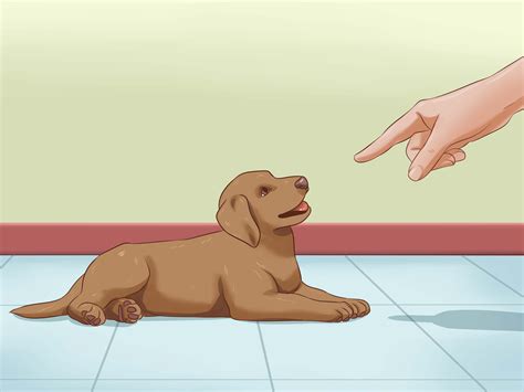 Games For Deaf Dogs at Thomas Reiser blog