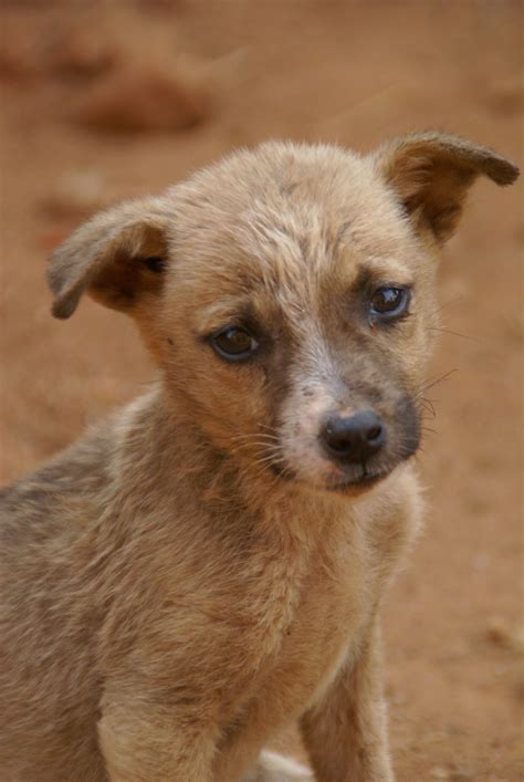 Malawi: Wenn der beste Freund zum Feind wird