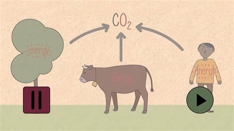 Photosynthesis and respiration | Chemistry for All | The Fuse School ...