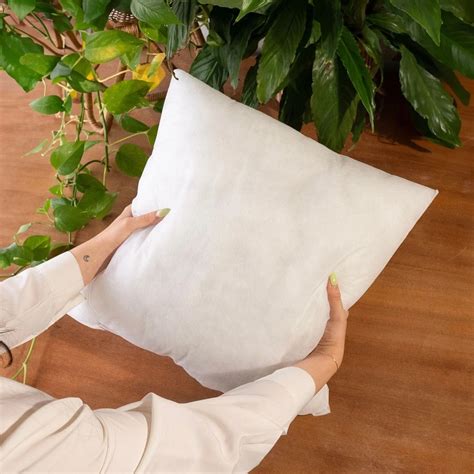 Cushion Inserts | Buy Cushion Inserts Online