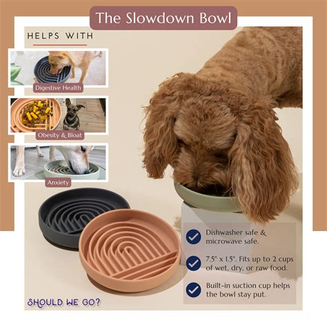 How Can I Get My Dog To Slow Down Eating