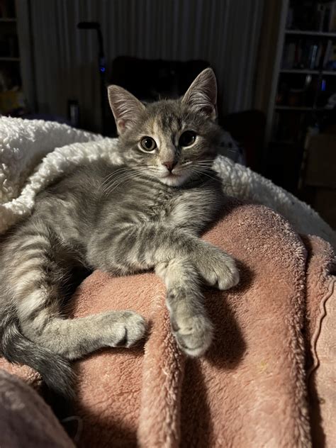 Dr. Sergeant Pepper taking a fancy break from a busy day of wreaking