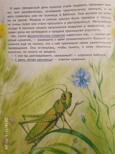 Книга: Превращение гусеницы - Лариса Тарасенко. Купить книгу, читать ...
