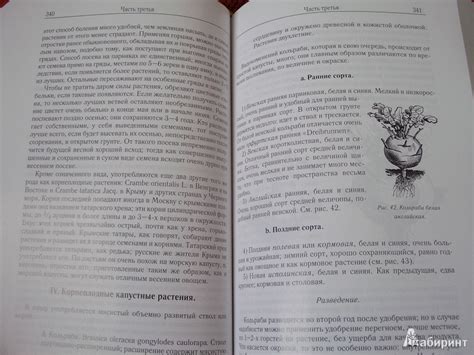 Книга: Русский огород, питомник и плодовый сад - Рихард Шредер. Купить ...