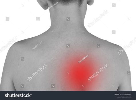 Pain Between Shoulder Blades Photos, Images & Pictures | Shutterstock