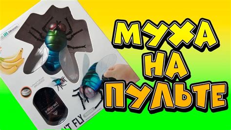 Oбзор игрушек. для мальчиков. Муха на пульте управления. Насекомое ...