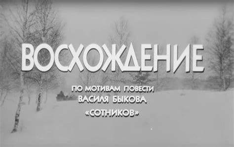 Кинотитры