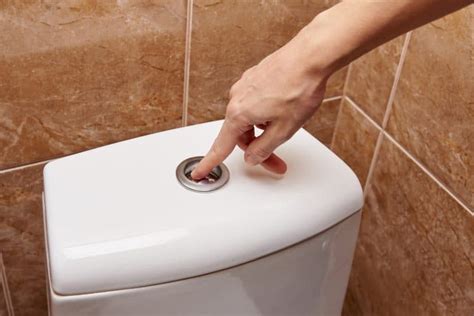 types  toilet flush systems pros  cons  digs