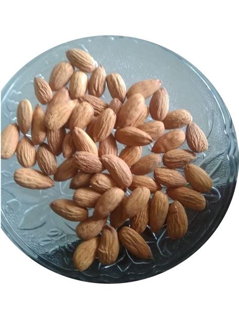 Almond Seed at Rs 510/kg | Almond Seed in Pune | ID: 23225195648