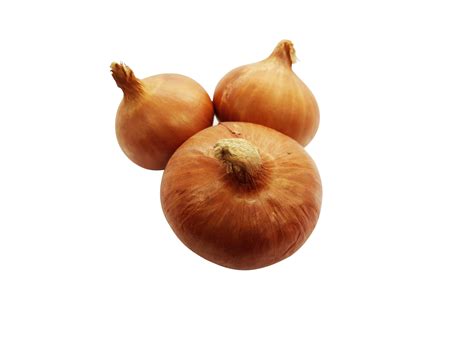 Onion closeup png 24922084 PNG