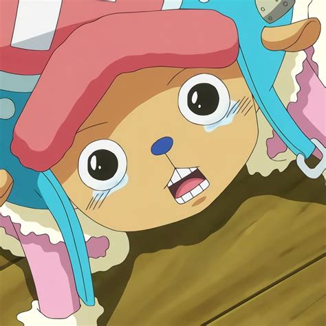 Tony Tony Chopper | Animation company, Anime, Chopper