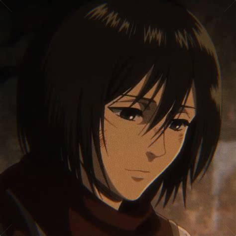 animashuki
