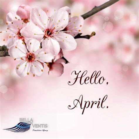 Днес е началото на един от любимите ни месеци - април! 💐🌼🌺 - Бела Вентис