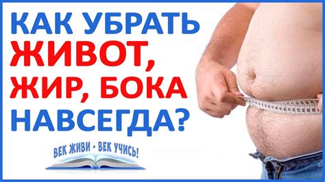 КАК убрать ЖИР, ЖИВОТ, БОКА - НАВСЕГДА! Вам ЭТО нужно знать! Самое ...