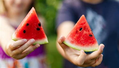 Do watermelon seeds help achieve health goals or are they just for ...