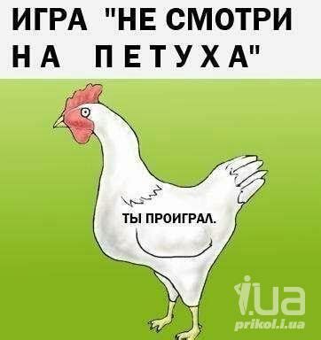 Приколи - картинки, відео приколи, смішні історії та анекдоти