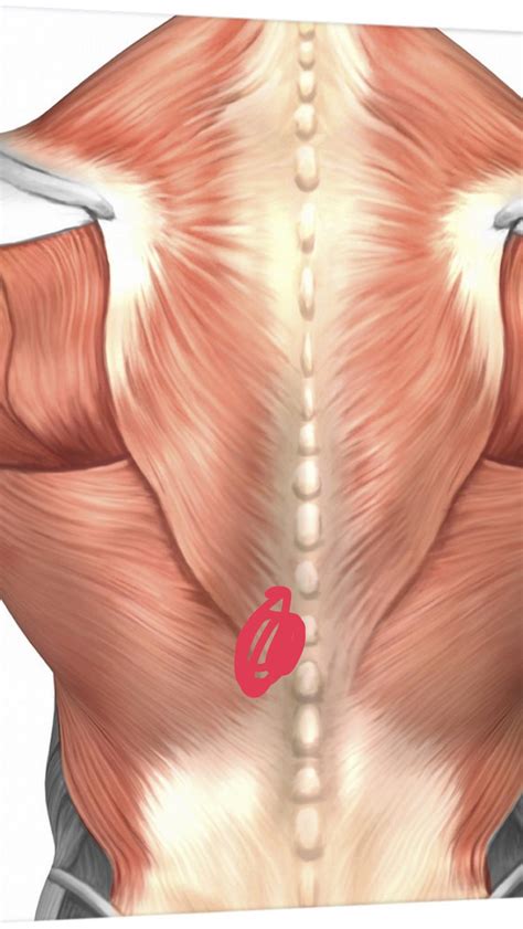 Does anyone else deal with mid left back pain in one small spot : r