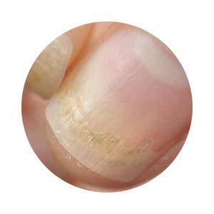 Especial Manicuras: guía práctica para profesionales - Beauty Now Argentina