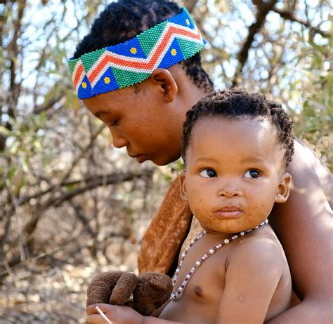 Harnas Wildlife Sanctuary | Freiwilligenarbeit in Namibia 2025