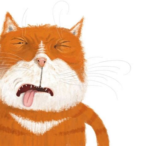 Котоподборка: persa_y — LiveJournal