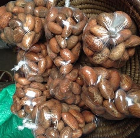 COMMON Fresh Bitter Kola, For Decorative, Garlands, Vase Displays, Wreaths, Size : 50 at Rs 300