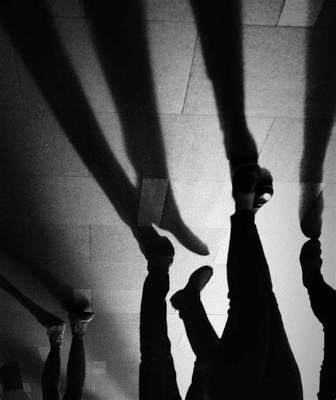 10,000+ Best Shadows Photos · 100% Free Download · Pexels Stock Photos