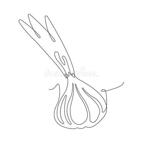isolated  art onion bulb white background stock illustrations