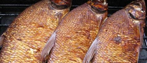Рыба горячего копчения, как подготовить и закоптить морепродукты
