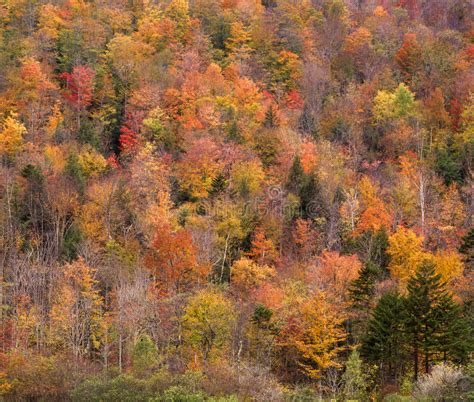 Autumn in Vermont stock photo. Image of autumn, scene - 23426464