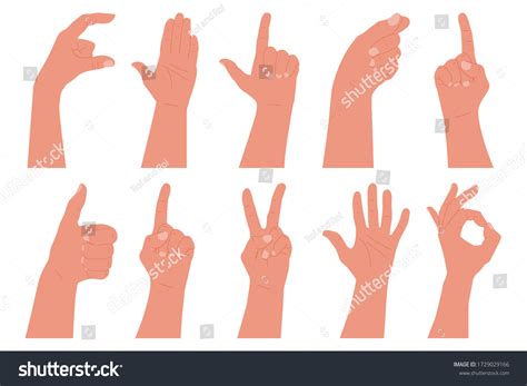 Human Hand Gestures Vector Cartoon Set Stock Vector (Royalty Free ...