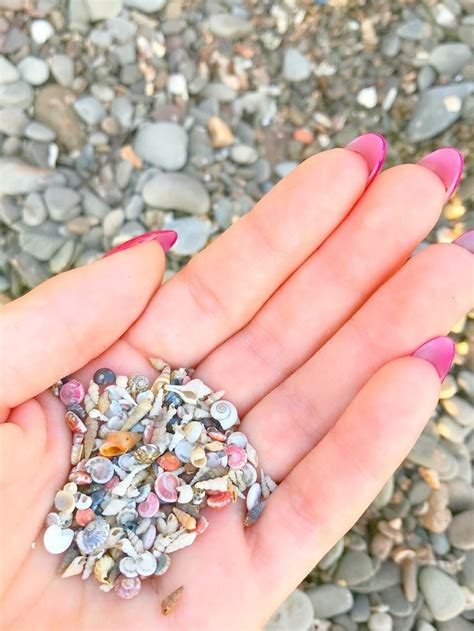 Pin by Natia on ракушки | Sea shells, Seashells photography, Coral art