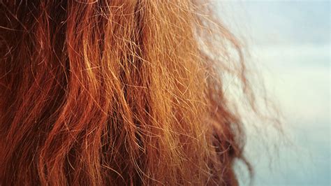 frizzy hair wild science lab