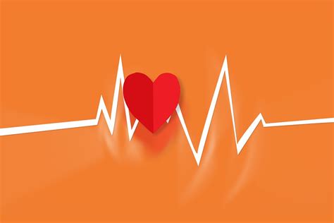 Chronic Heart Failure (CHF) - My EP - Exercise Physiologist Sunshine ...