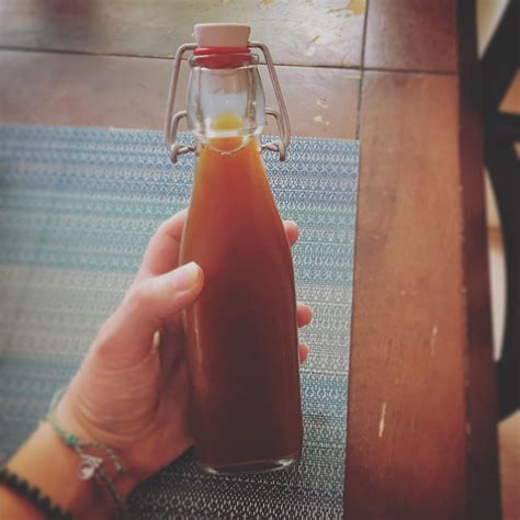 Wild Fermented Root Beer with foraged Sassafras, Wintergreen, and