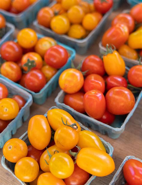 Corporation for Findlay Market – Annual Report 2022 by findlaymarket